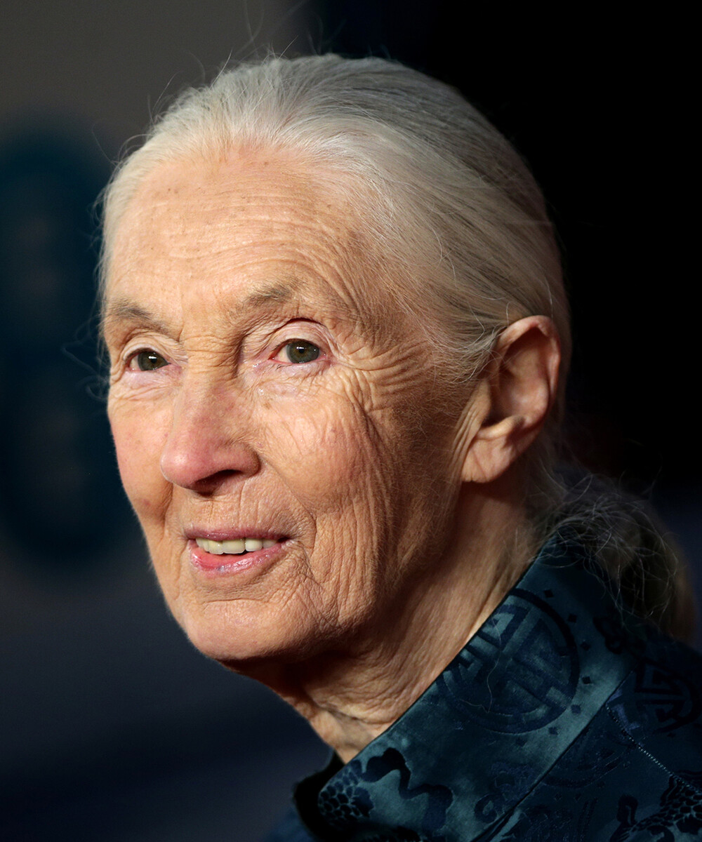 Jane Goodall.