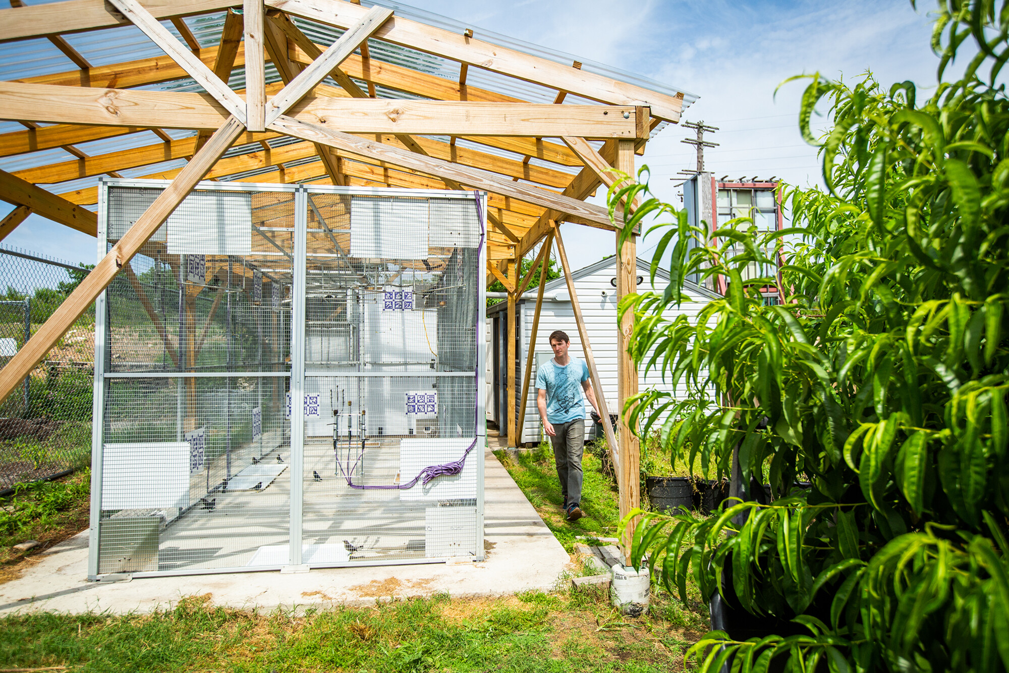 aviary at pennovation center