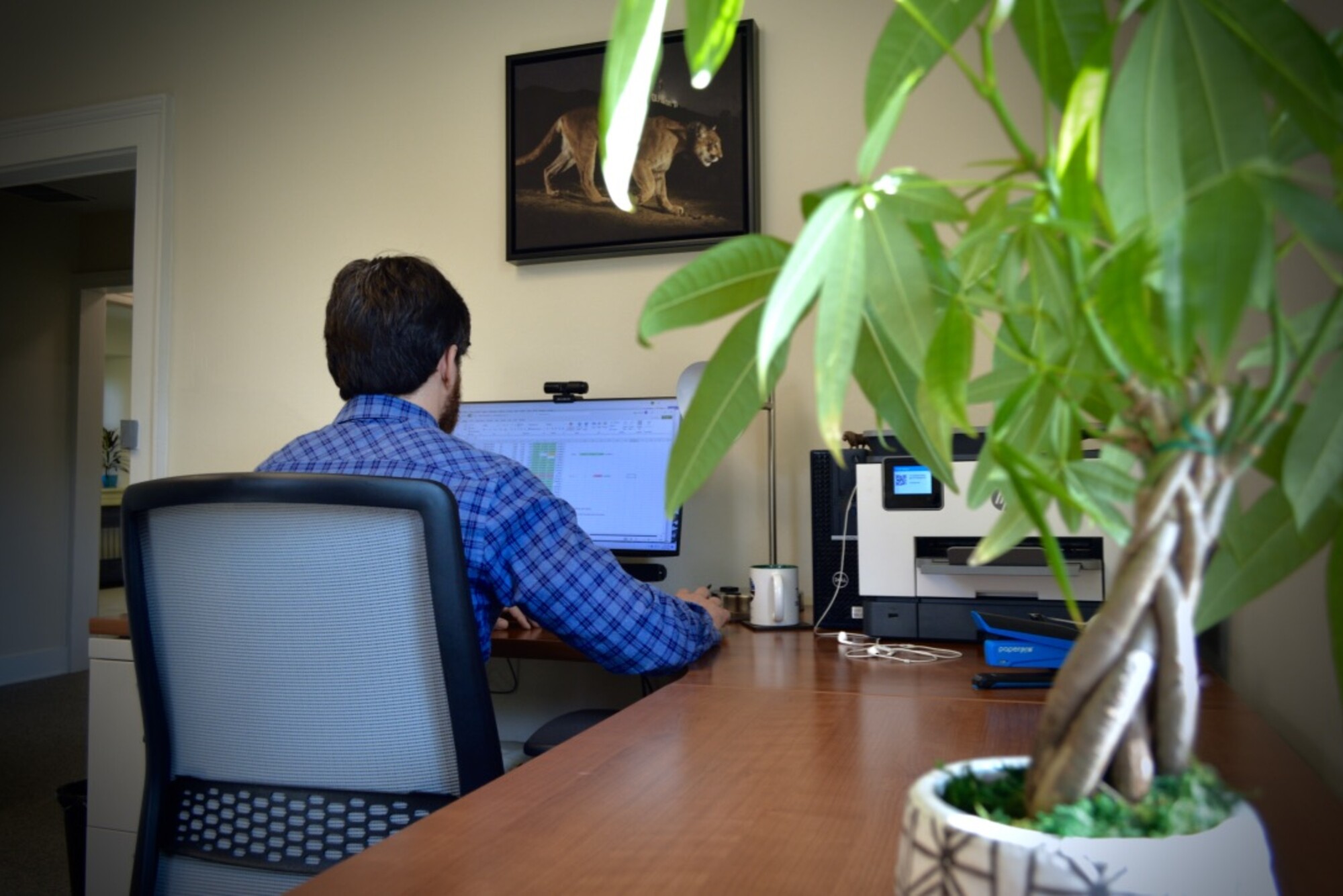 Roderick B. Gagne working on a computer with plant on desk