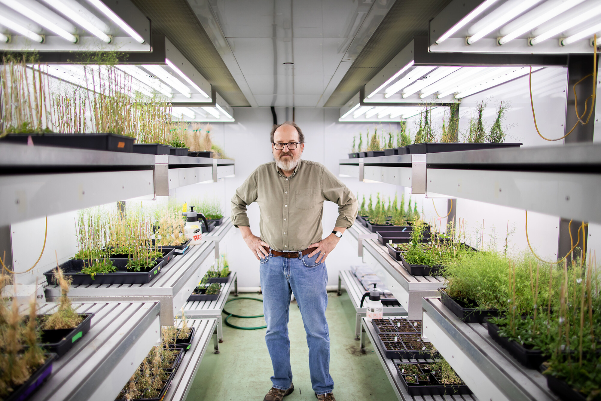 scott poethig and plant biology