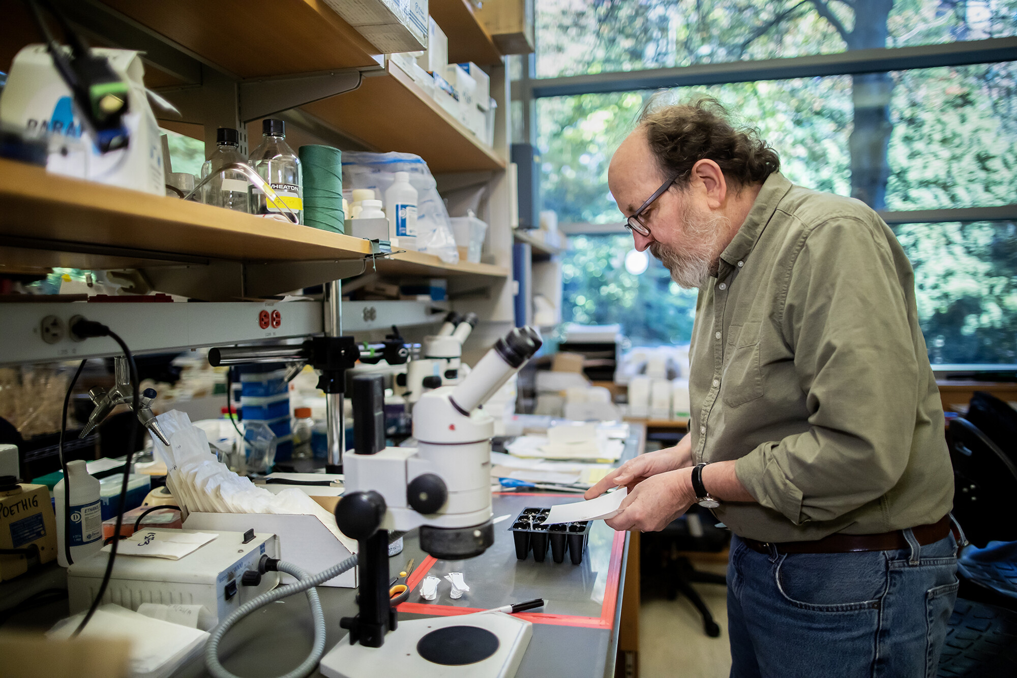 scott poethig at a lab bench