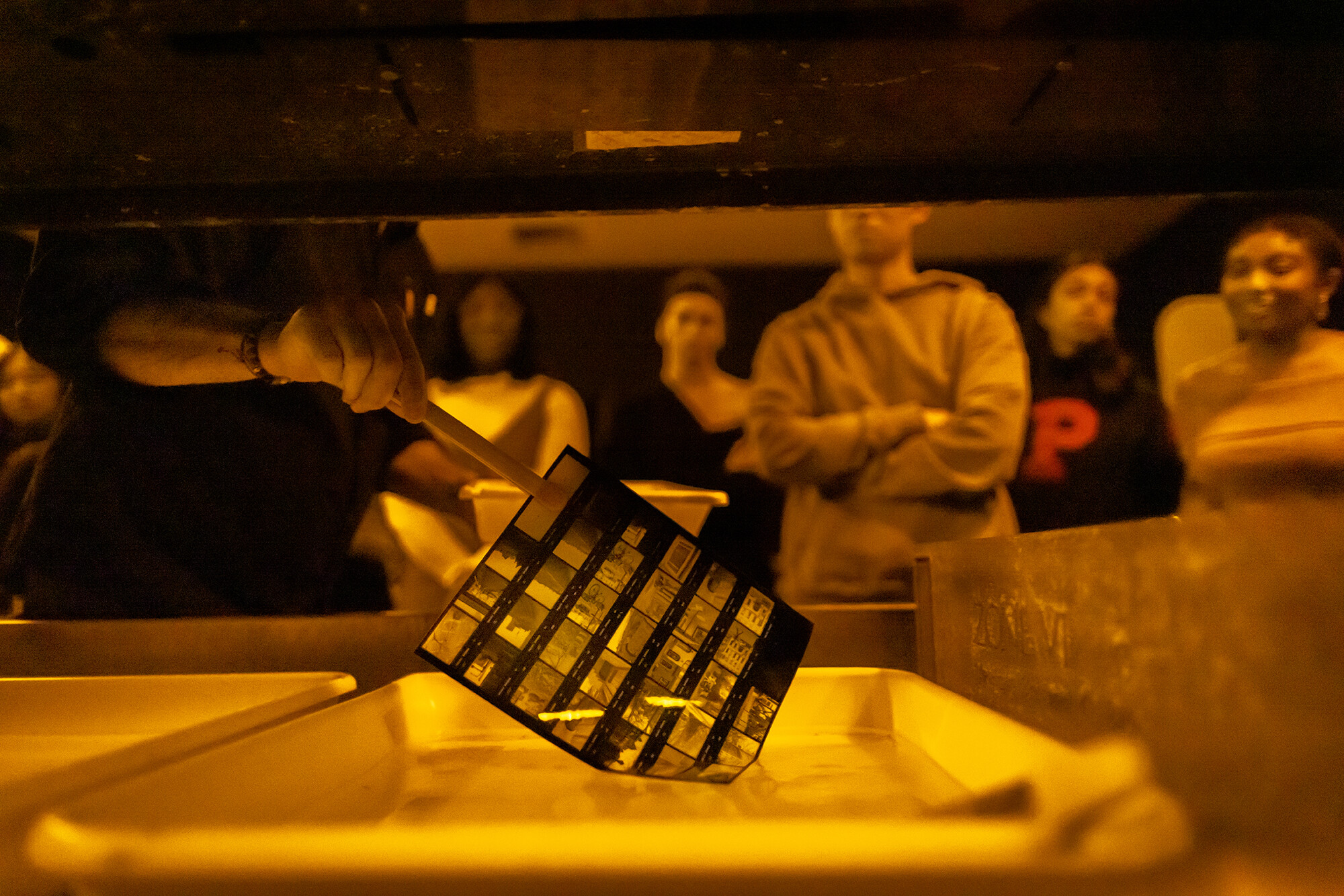 developing a contact sheet in the darkroom