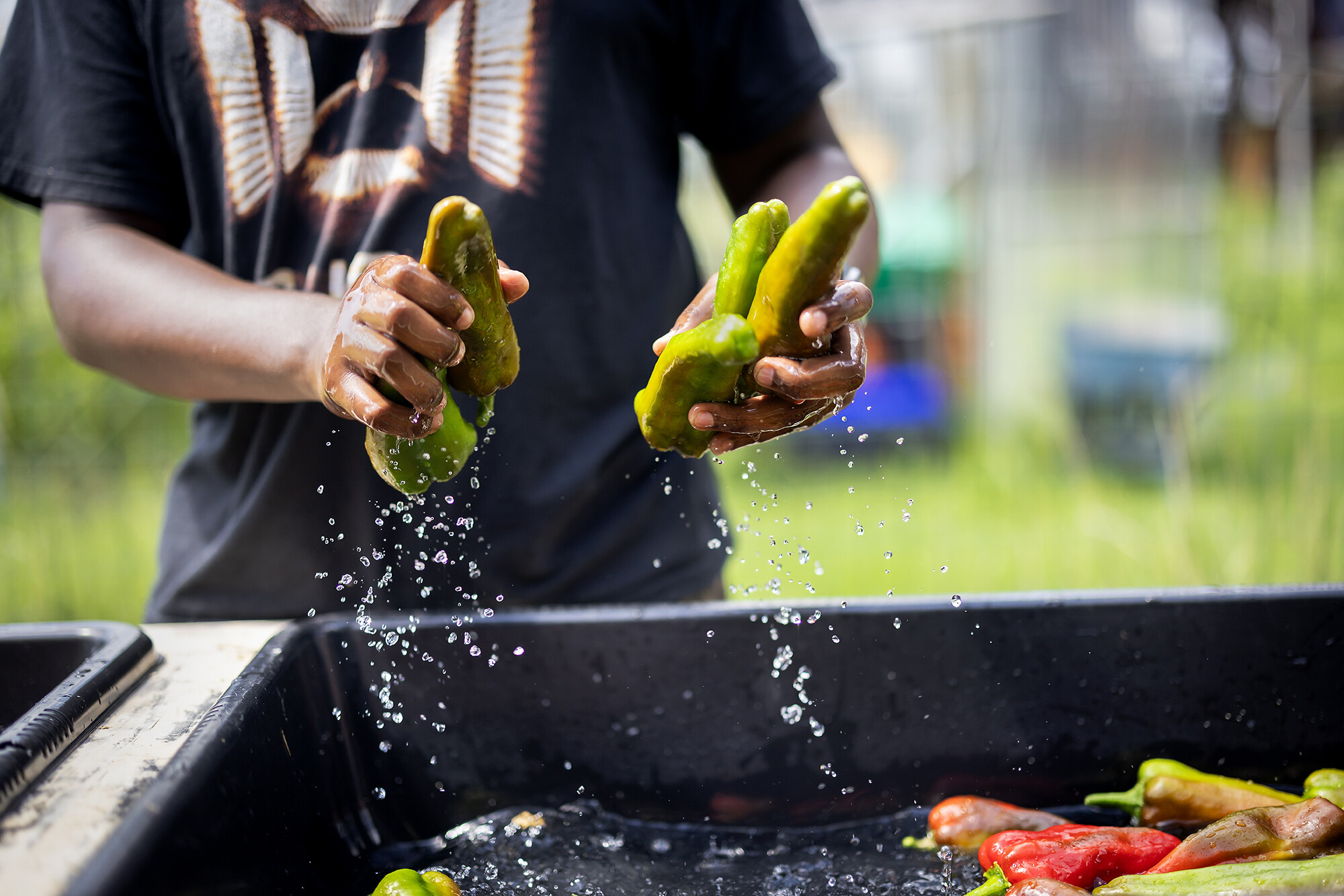 xavier watkins wright washes vegetables at the penn farm