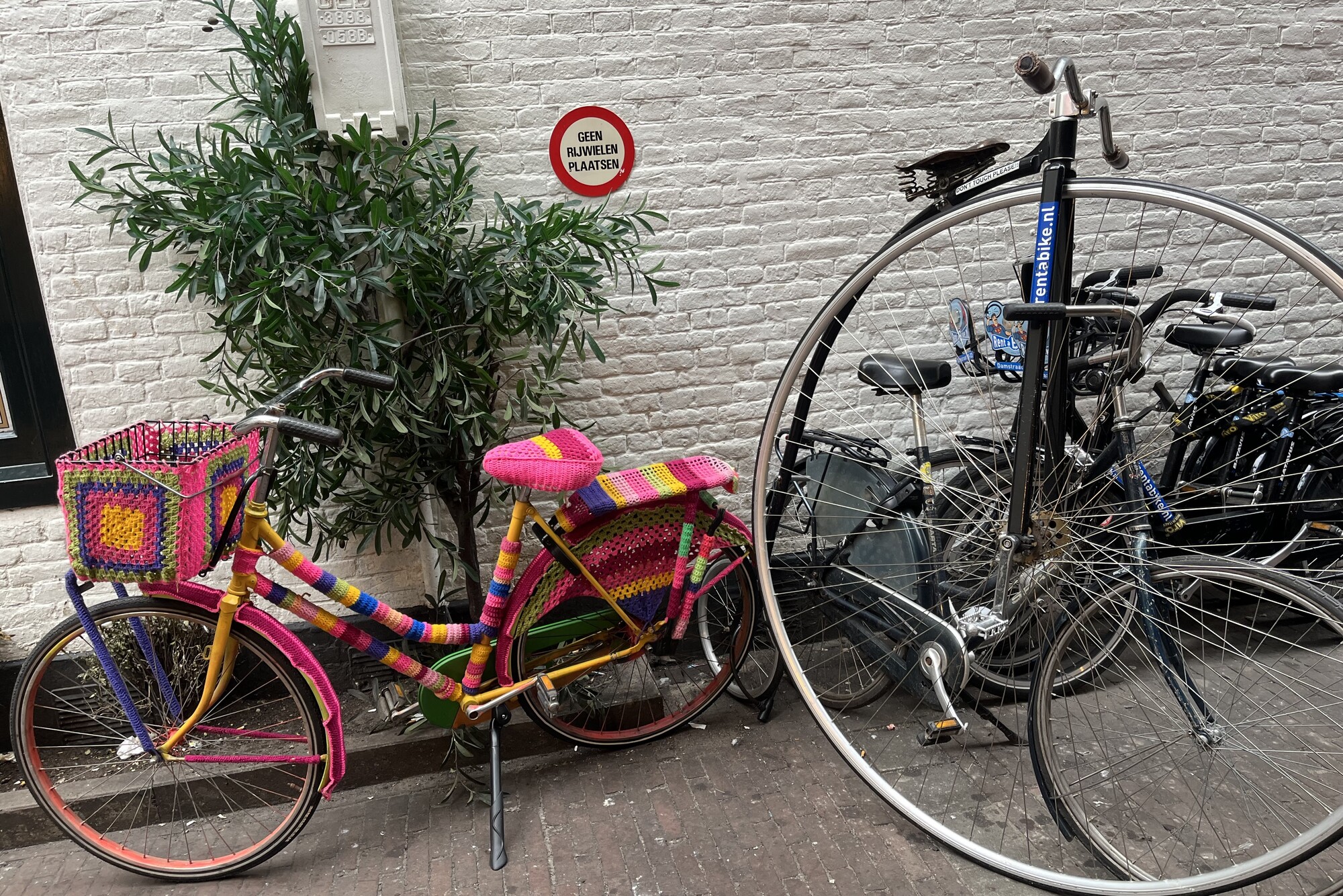 Two bikes in Amsterdam, one covered in colorful crochet, the other in the style of a penny farthing.