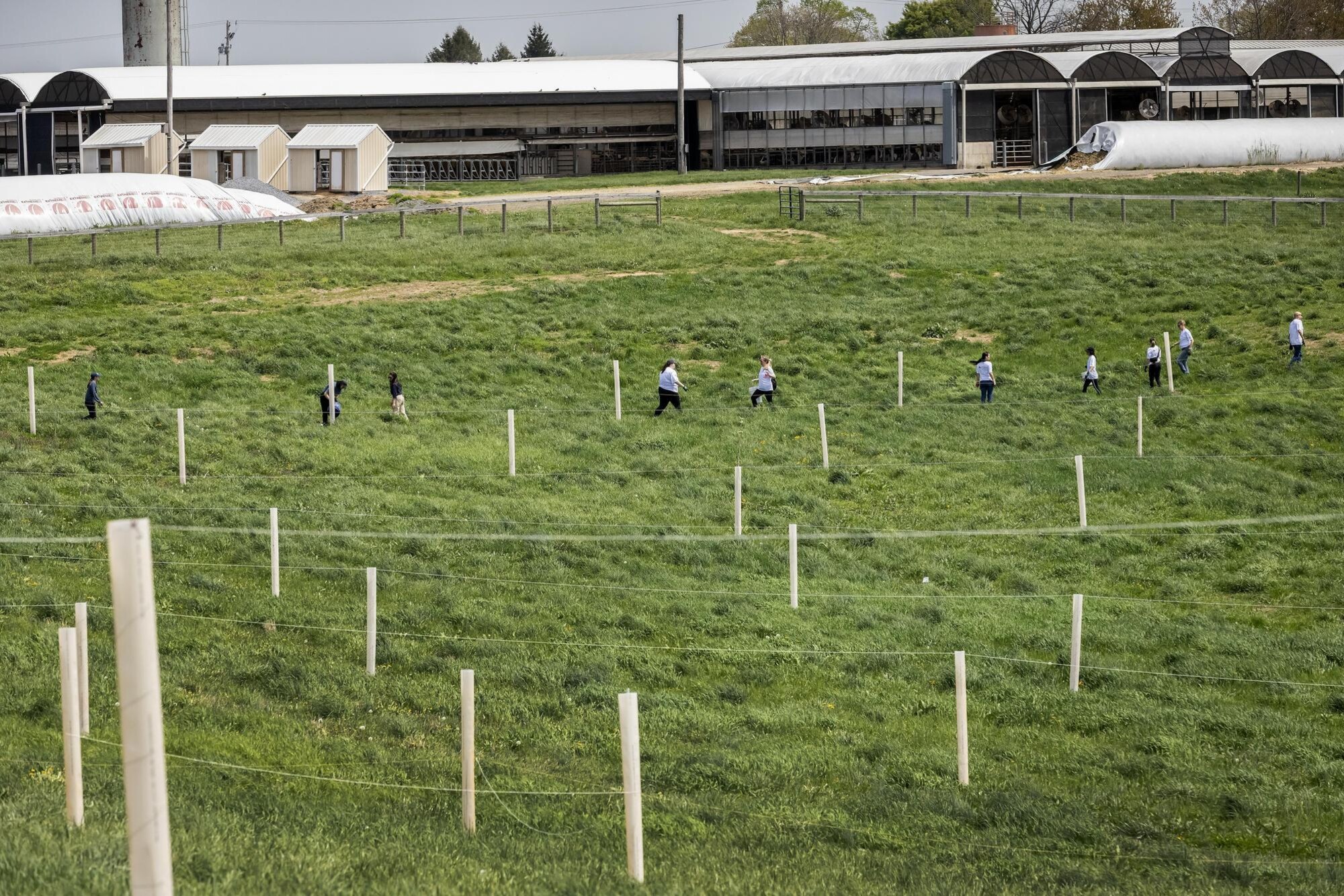 Volunteers in the field on a farm in Pennsylvania.