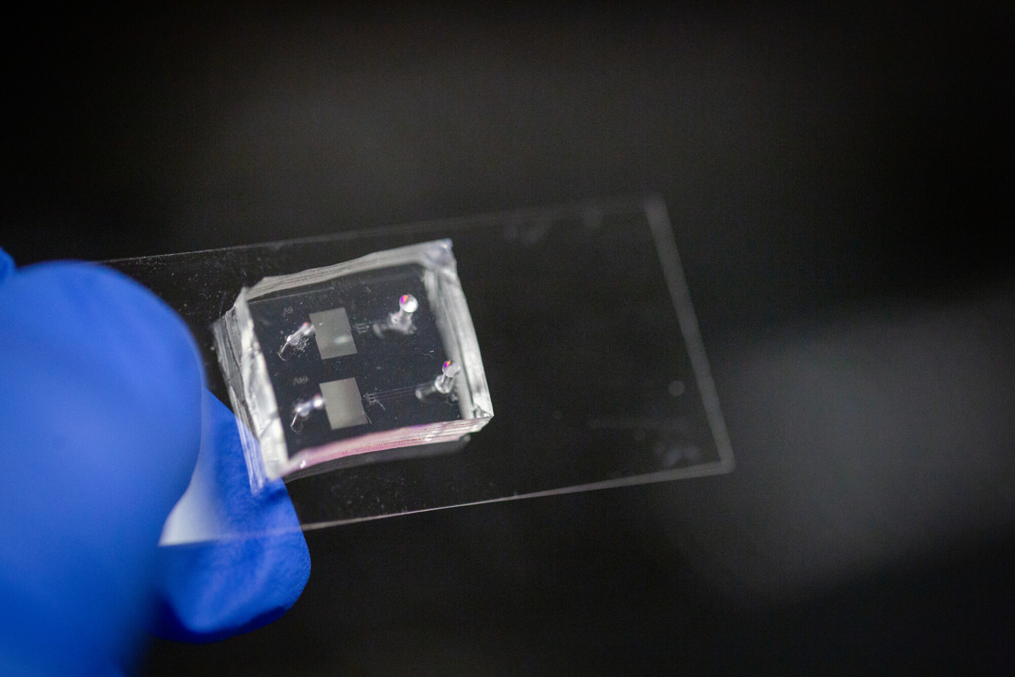 Ran Tao, a Ph.D. student in the Mathijssen Lab holds a slide with the chip
