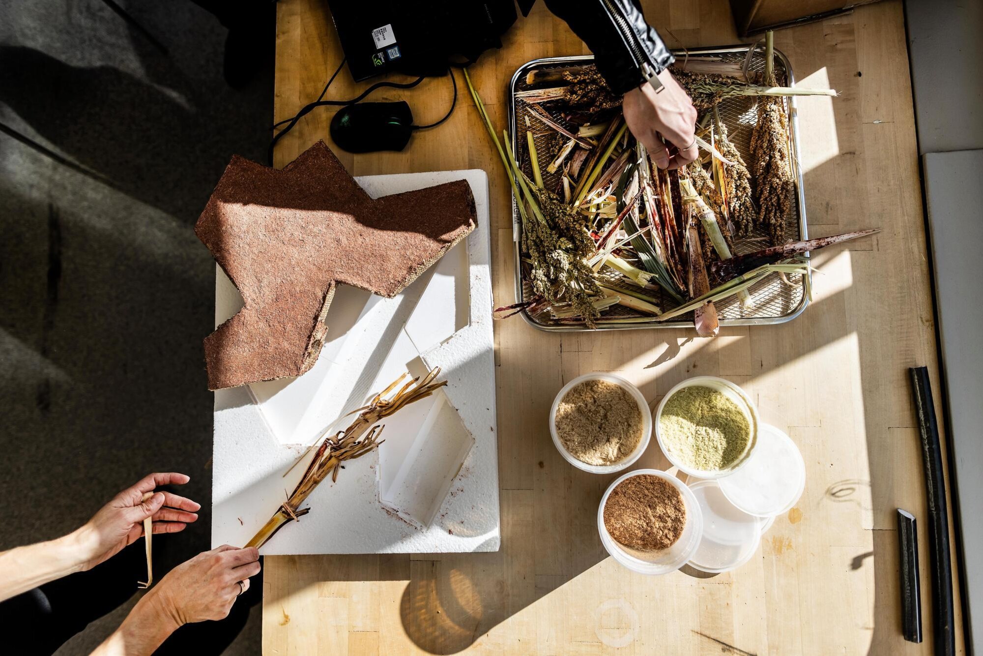 Two people sorting food waste on a table.