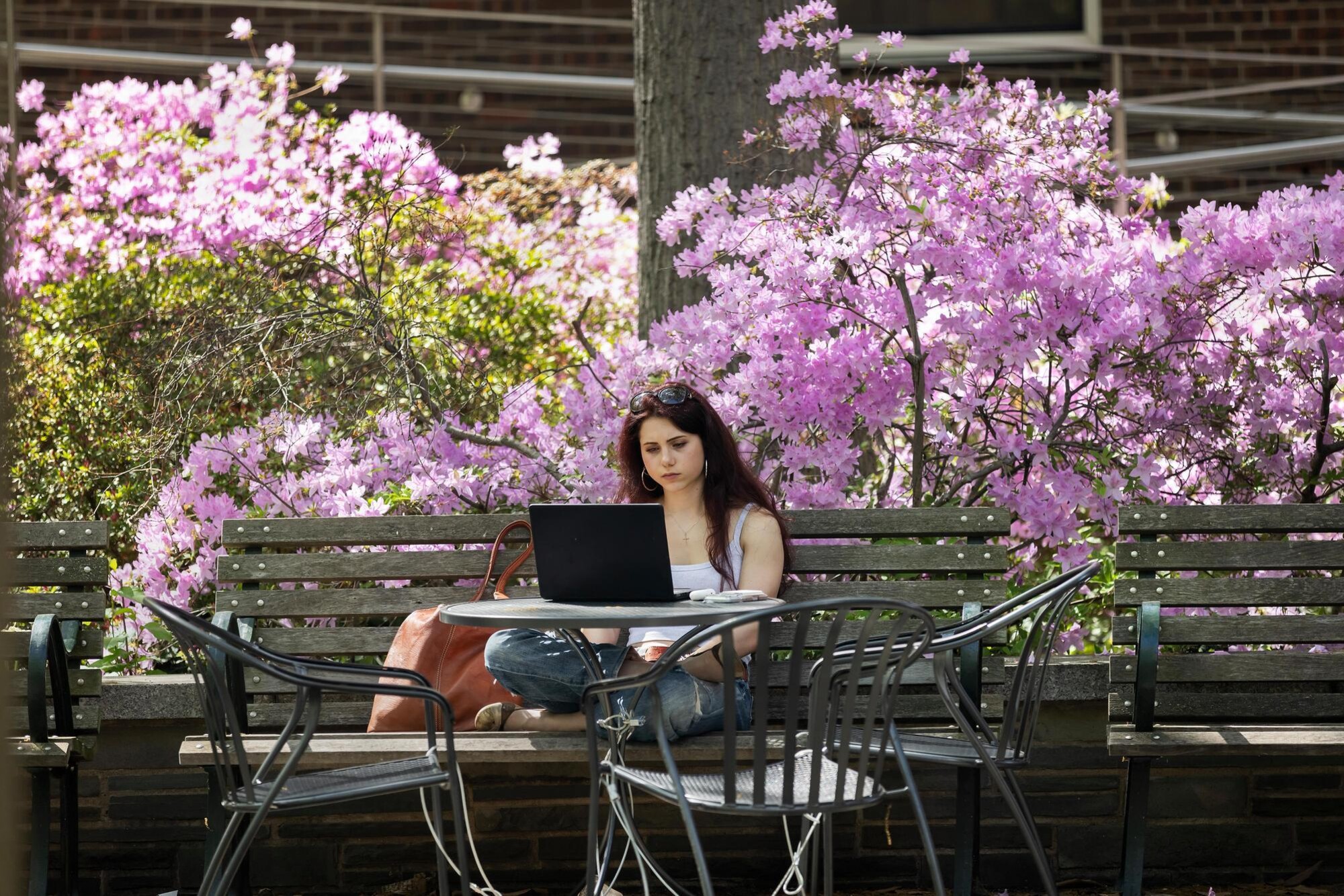 A person working on a laptop at an outdoor table by blossoming trees.