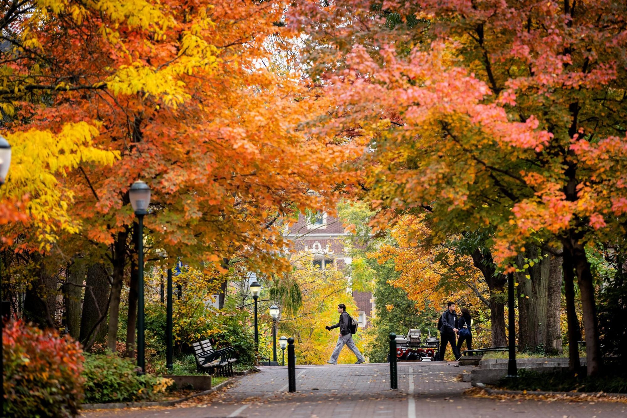 Penn’s campus in autum.