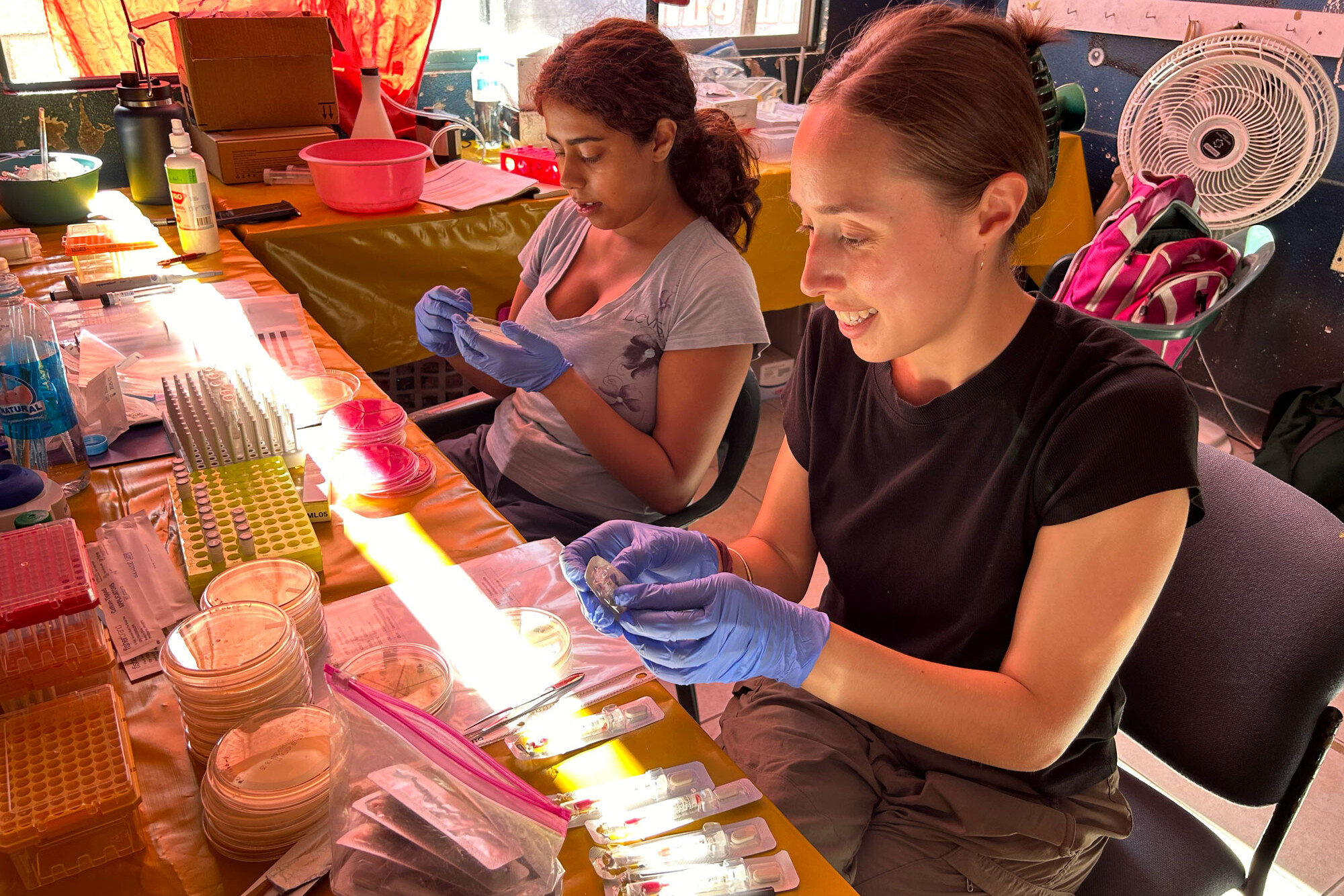 Maya Mathur (L) and Katherine Villarin conduct antimicrobial susceptibility testing on bacteria isolated from water samples.