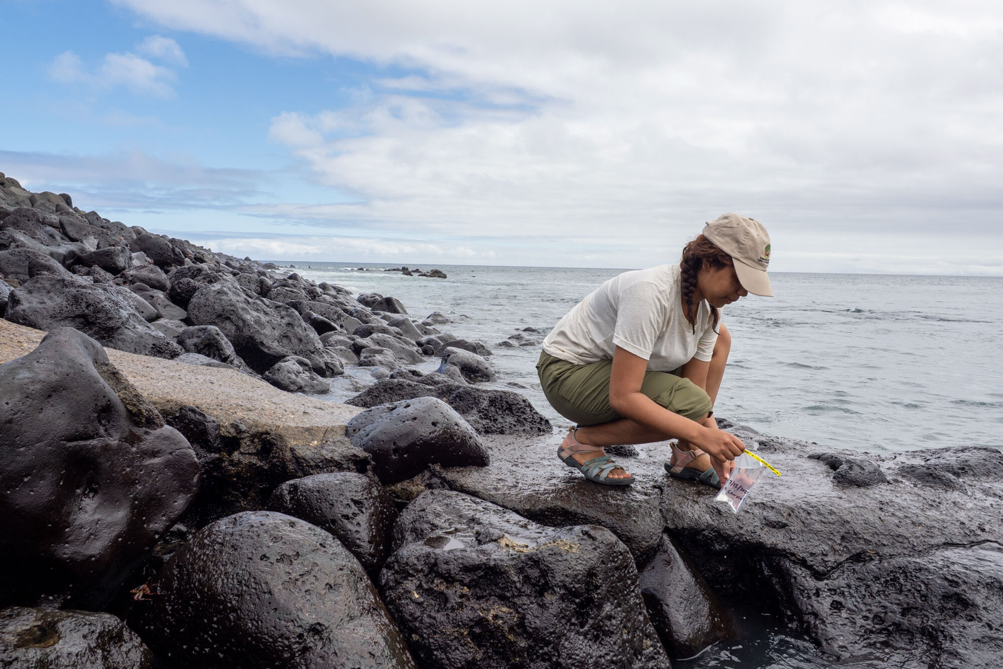 Maya Mathur collects a water sample at Punta Carola.