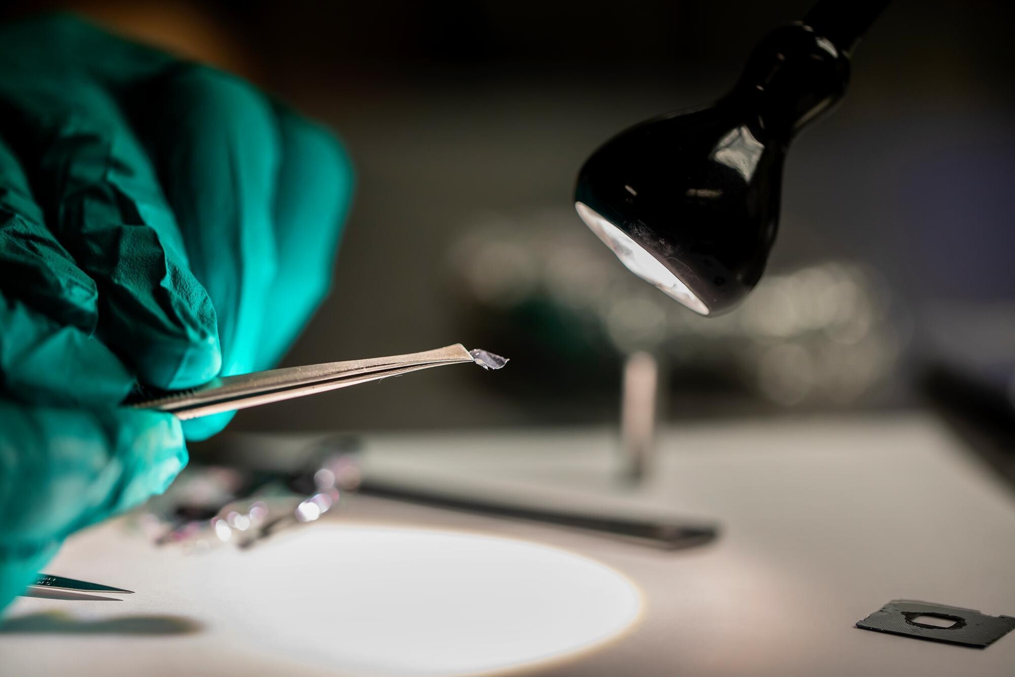 Researcher holding tweezer-like tool clutching a nanodevice under a light. 