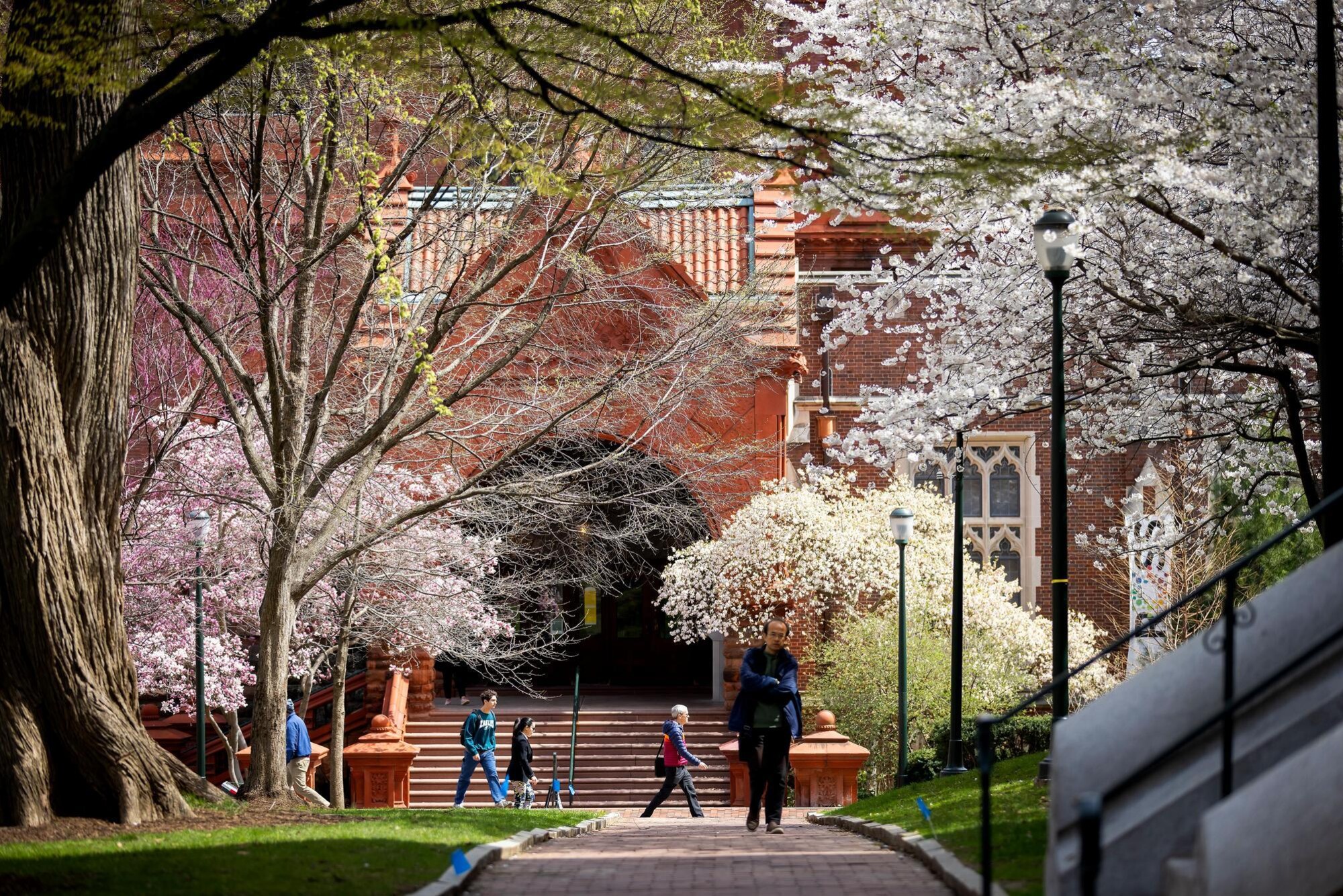 The campus of the University of Pennslyvania in spring.
