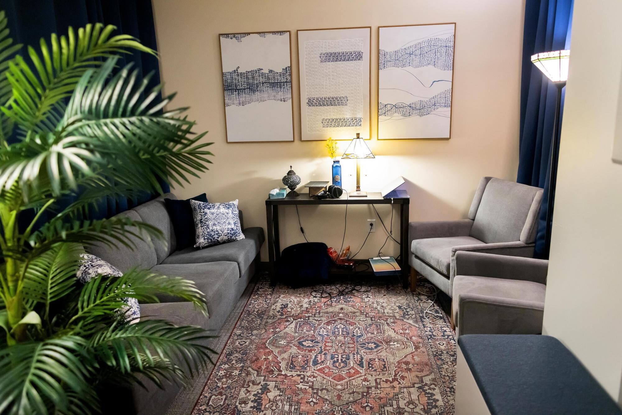 Room with couch, chairs, rug, plant, and art, used for psychedelic dosing.
