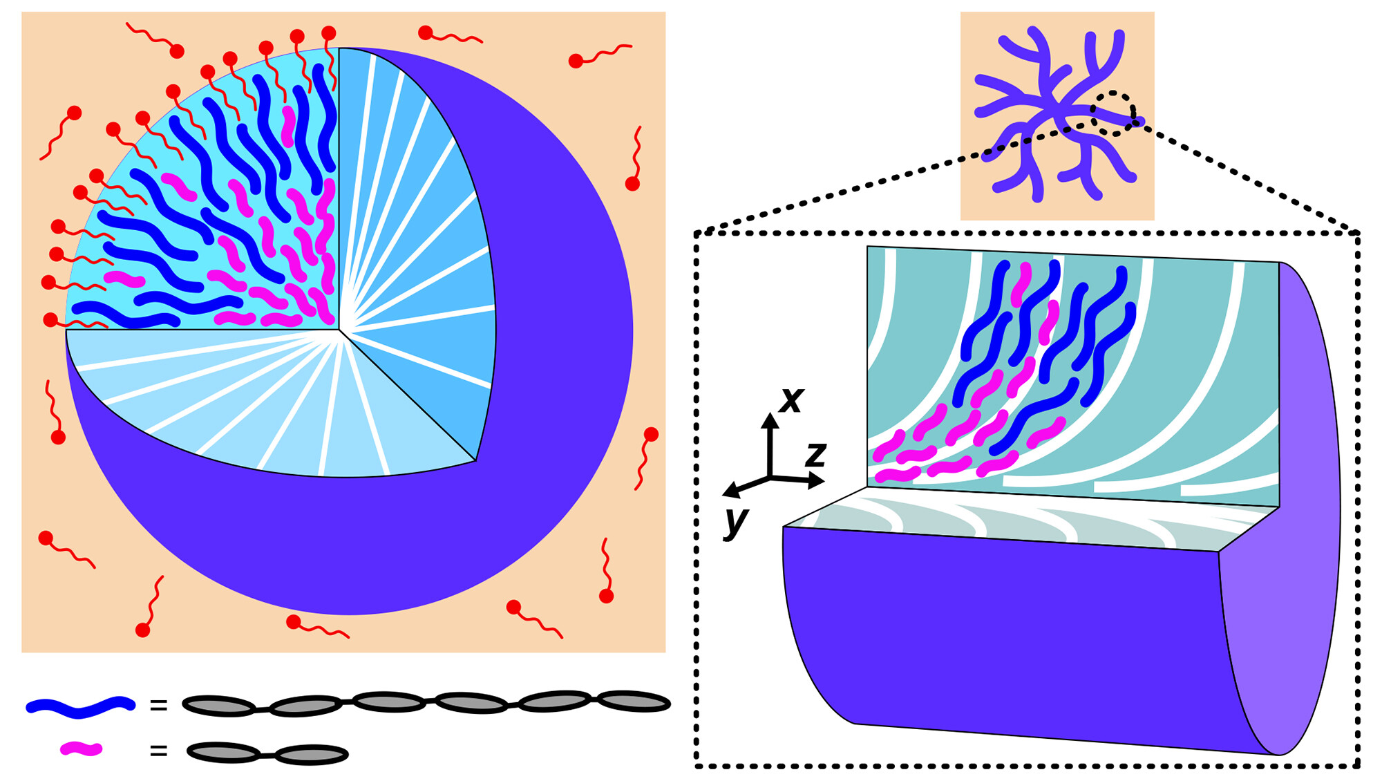 diagram explaining strange shape formation