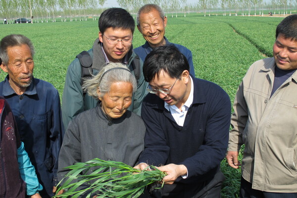 Dou, Zhengxia collaborator Fusuo Zhang