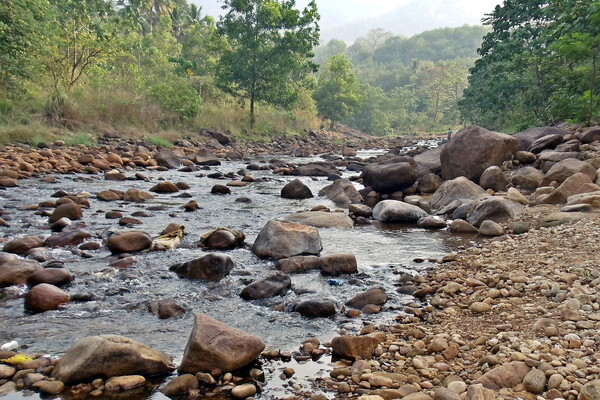 Jerolmack.river rocks