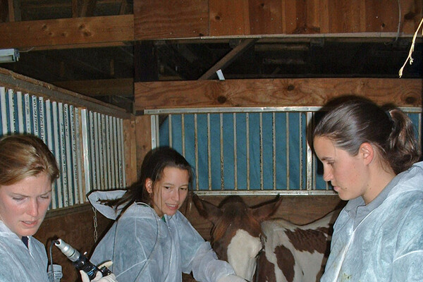Boyle, Ashley with horse with strangles