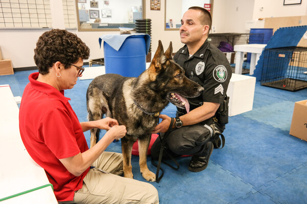 Otto_police_dog