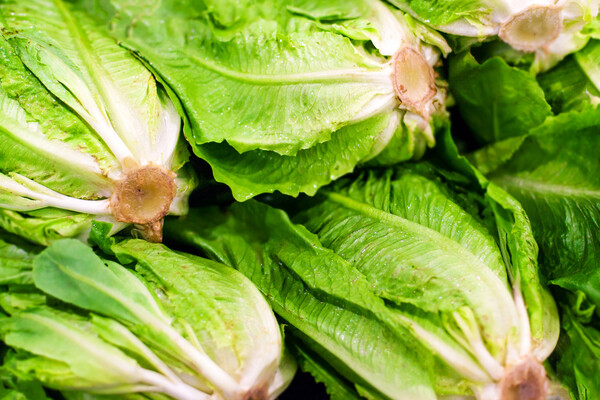 iStock Lettuce Vegetable