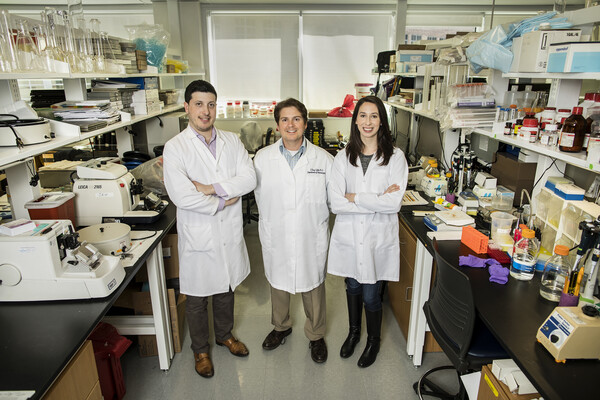 A radical, innovative approach by a bioengineer takes a big step forward