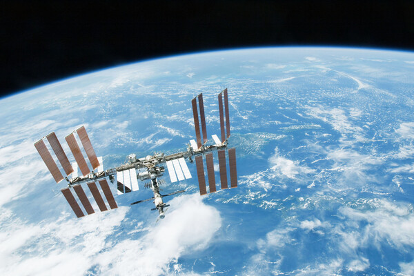 Immune system microgravity space