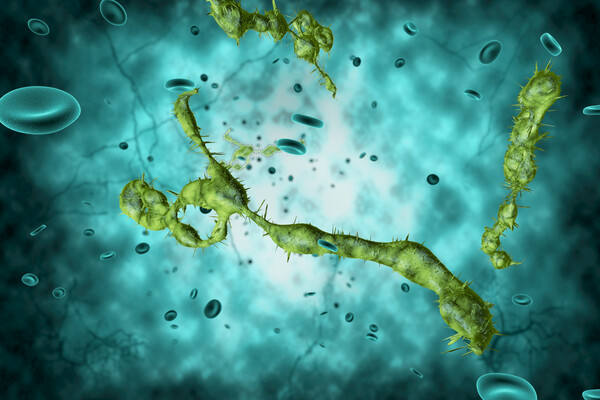 ebola