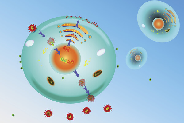 flu_replication