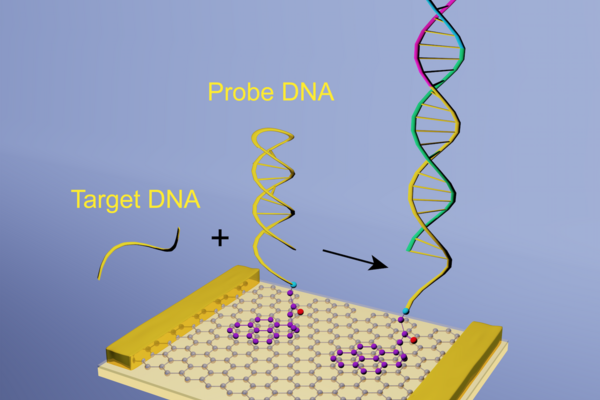 graphene sensor