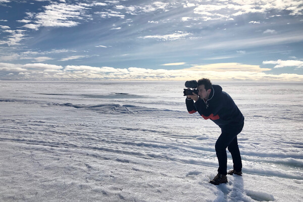 Arctic Sea