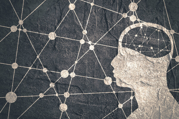 brain_image