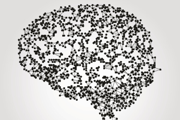 brain