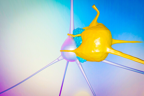 action-schematic-of-t-cell-destroying-a-cancer-cell