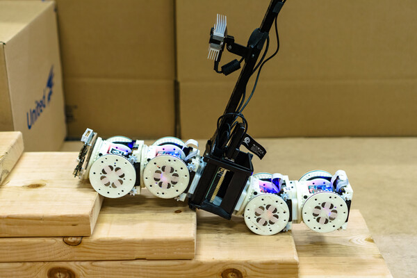A flexible robot bends to climb a wooden staircase.