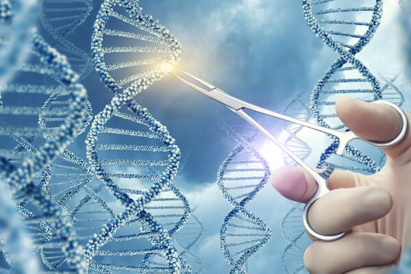 Gloved hand taking scissors to a strand of DNA.
