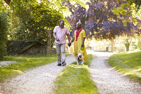 a couple walking a bulldog in the sunshine