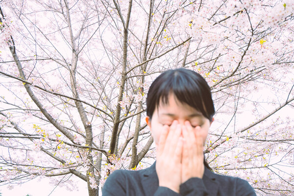Person covering their face with their hands beneath a blossoming cherry tree.