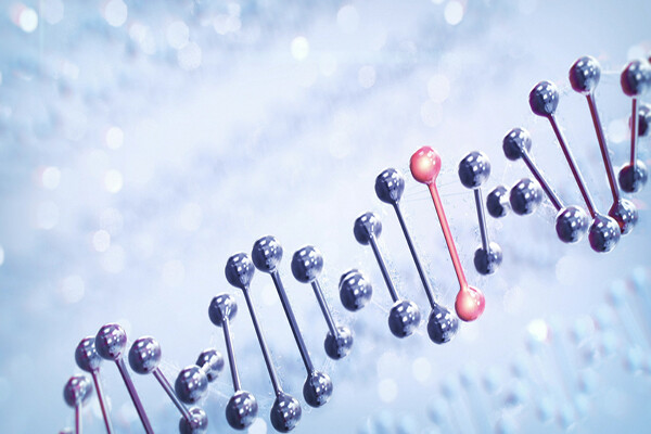 genetic sequence