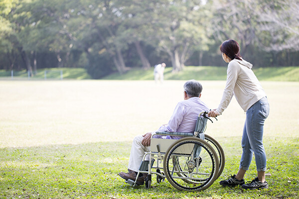 person pushing another person in a wheelchair on a grassy area in a park during the daytime