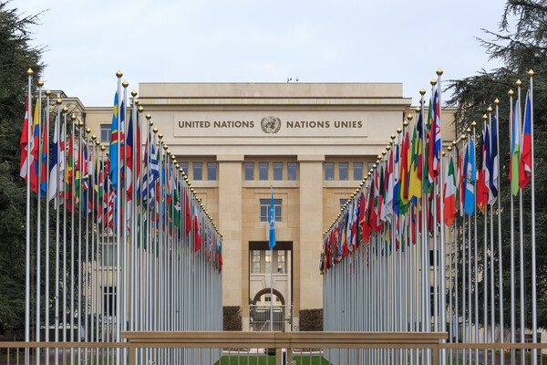 United Nations member flags raised outside of the UN building in New York