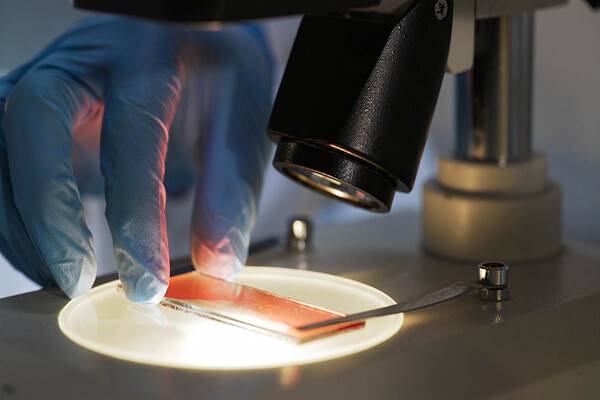 a gloved hand holds a glass film with blood sample underneath beneath a microscope