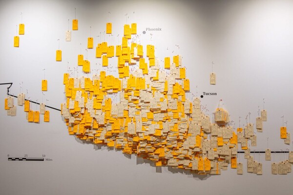 Toe tags mapped on a wall