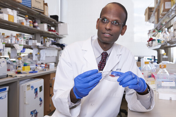 A scientist in a white coat with blue rubber gloves on holding a petri dish. In the background are lab materials on several sets of shelves.