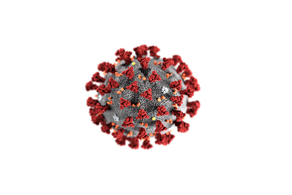 This illustration reveals ultrastructural morphology exhibited by coronaviruses.