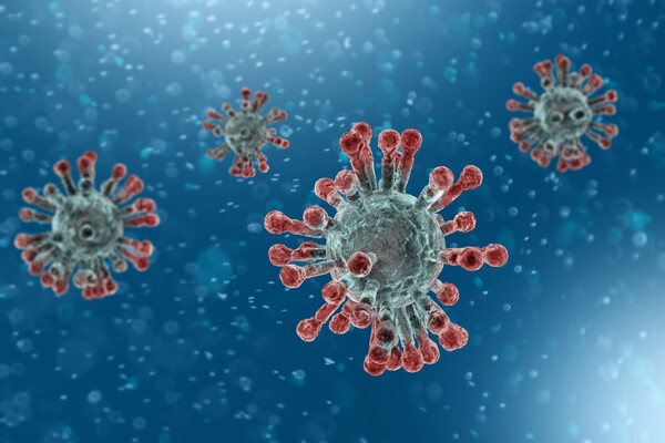 microscopic view of coronavirus