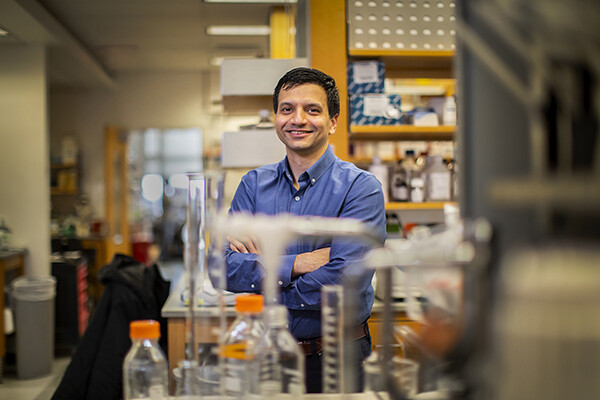 Writer and doctor Vikram Paralkar in his research lab.