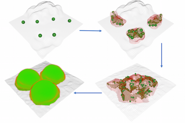 Four panel image shows small blobs progressively growing to larger groupings
