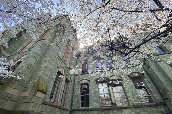 spring on campus