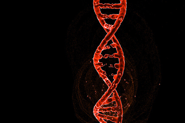 Microscopic rendering of DNA helix repairing itself