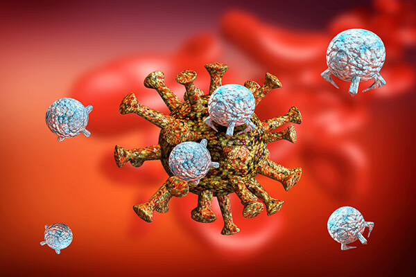 3D rendering of antibodies activated by vaccine and drugs like hydroxychloroquine attacking viruses inside the human body. 